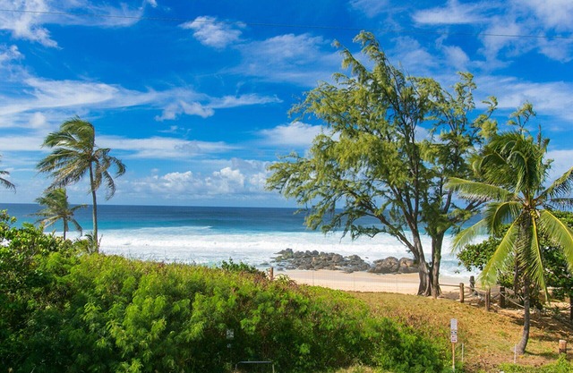 The Nicest Getaway!
