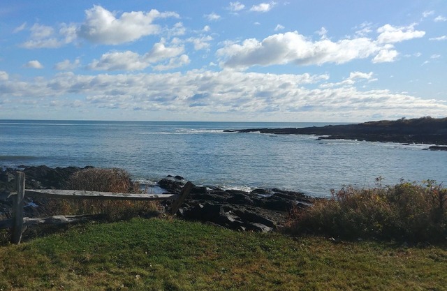 The Oceanfront Experience You've Been Waiting For!