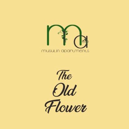 The Old Flower
