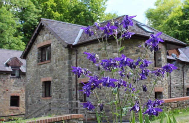 The Old Mill. Surrounded by over 450 acres of Organic farm
