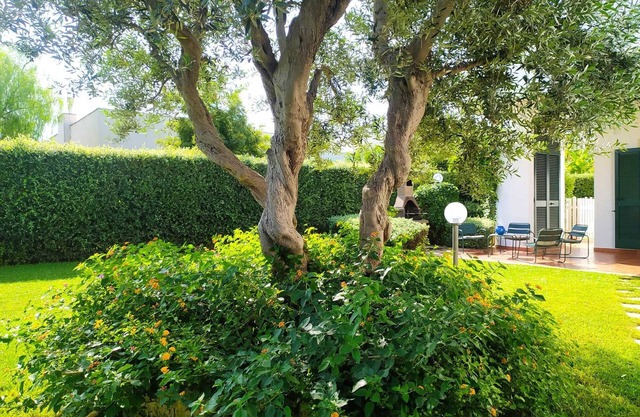 The olive tree villa with private garden near the sea