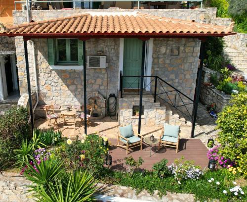 The Olive Tree