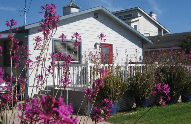 "THE ORCHID COTTAGE" PETS OK!