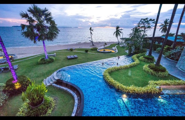 The Palm Beach Front
