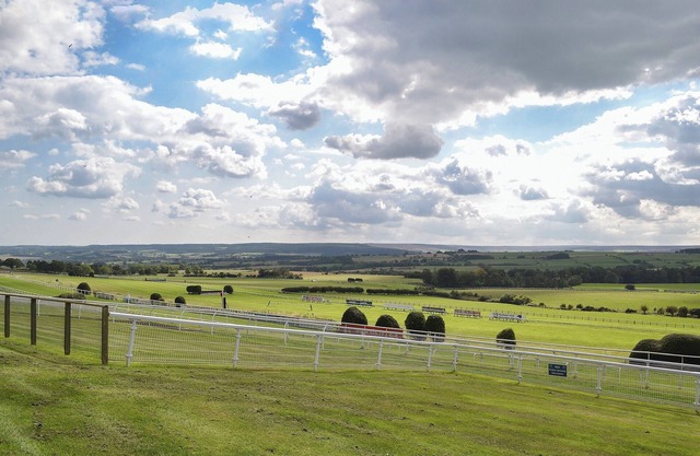 The Racecourse Lodge