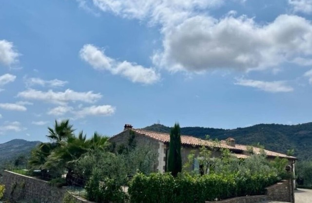 The real Dolce Vita, villa with infinity pool surrounded by olive trees