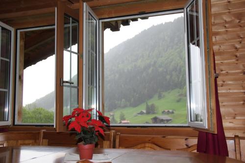 The Saxeten alps