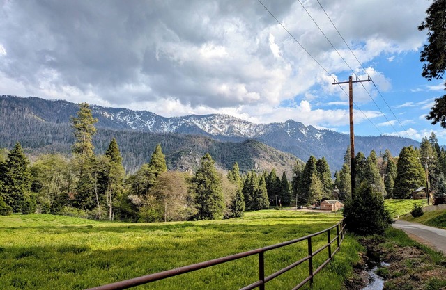 The Sequoia Time Capsule: Spa, Walk 2 Giant Sequoias, River, Fish, Bike, Saloon
