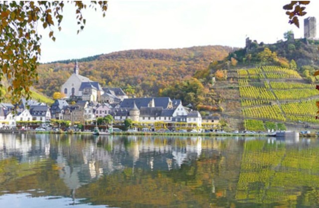 The Spätburgunder Beilsteiner vacation apartment - Ferienwohnungen MOSEL
