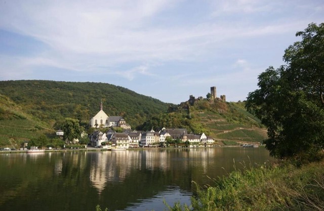 The Studio Apartment Dornfelder Beilsteiner - Apartments MOSEL
