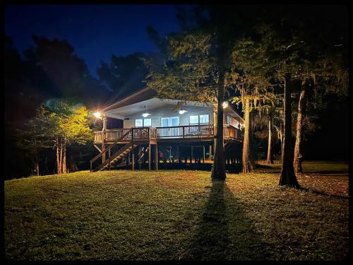 The treehouse