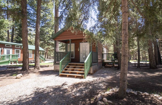 The Twilight Cabin #4