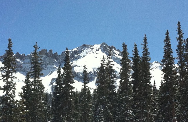 The Palmyra- Mountain Village Core