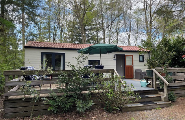 The Veluwe Vibes: comfortable chalet on spacious site in nature