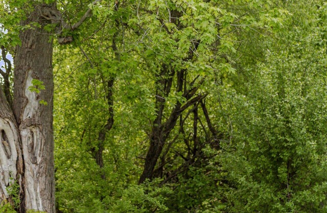 The Viewpoint Cottage