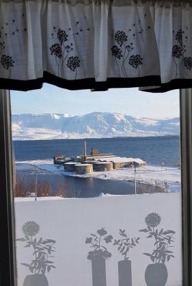 The Viking Country Club
