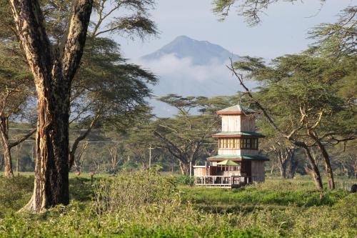 The Watch Tower 360 Safari Views & Stargazing