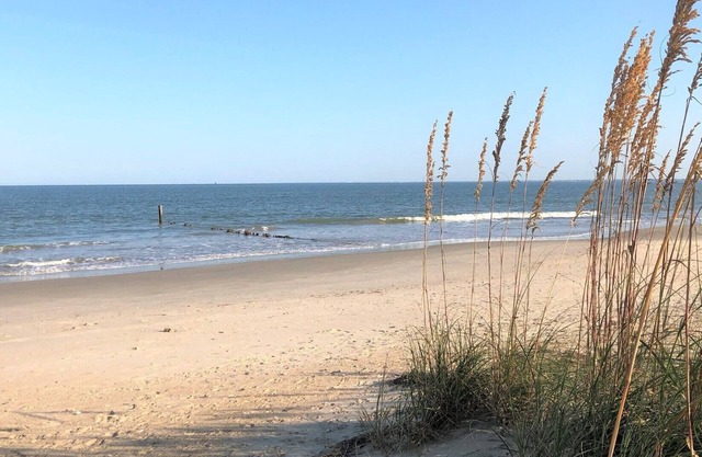 The "White Whale"- Cottage with private beach!