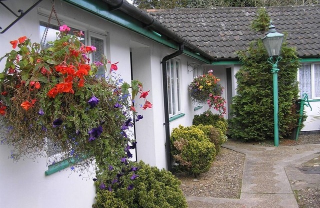 The Willow House