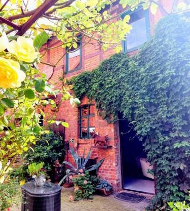 TheBackyard