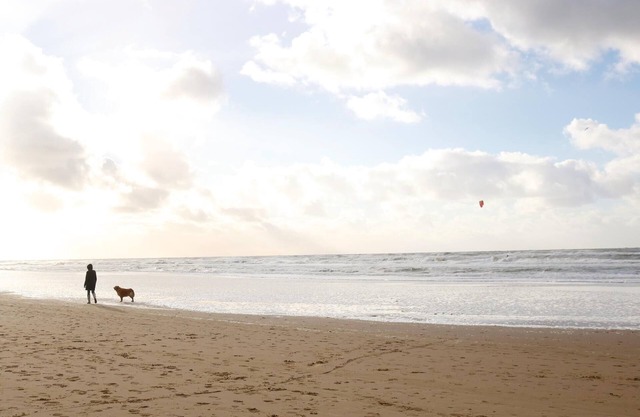 This holiday home in Westerland offers a beautiful view of the Wadden Sea.