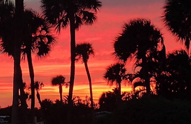 This updated surf side paradise is just minutes to the beach!