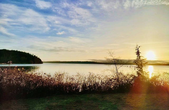 Thorndyke Lodge Beachfront Escape w/BBQ and firepit