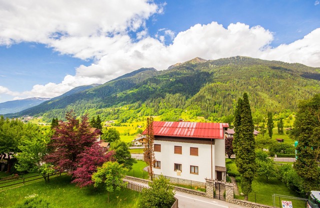 Three-room apartment with large balcony and splendid view - Adamello Brenta Park