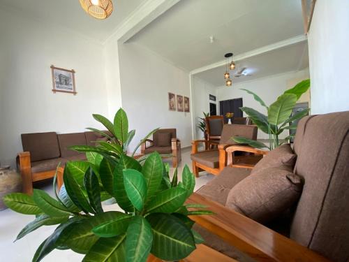 Tika House