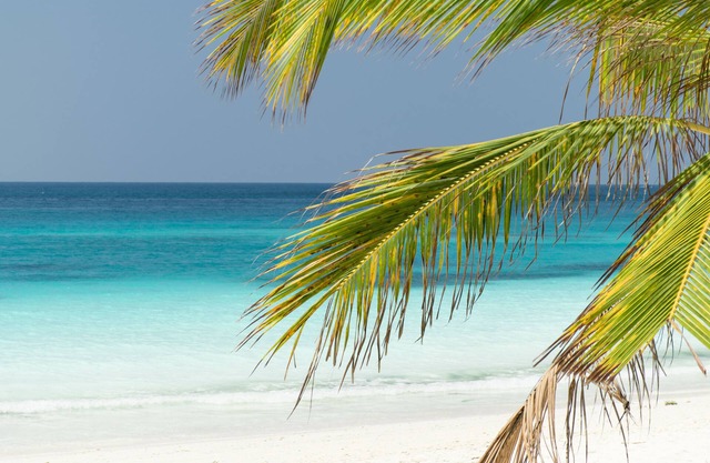 Tikitam Palms Boutique Hotel