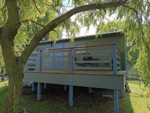 Tiny House & Alpaka-Erlebnis im Ruhner Land - Naturidylle pur