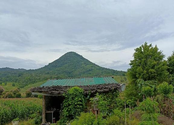 Tiny House Balas