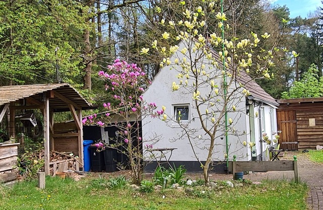 Tiny house in the Wingster Forest, near Nordesse, peace & relaxation in nature