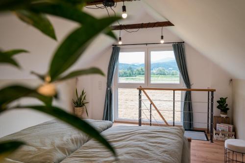 Tiny House Spielberg