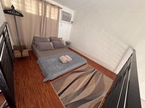 Tiny loftype house