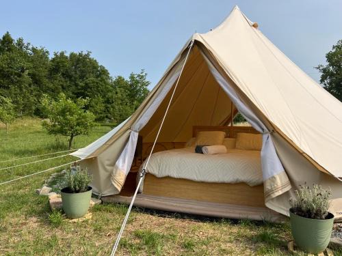 Tipi au Murmure du Champs