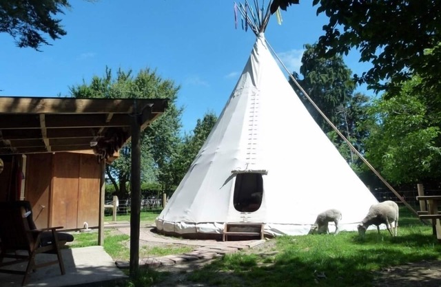Tipi/Teepee - Wacky Stays = six UNIQUE rentals in Kaikoura