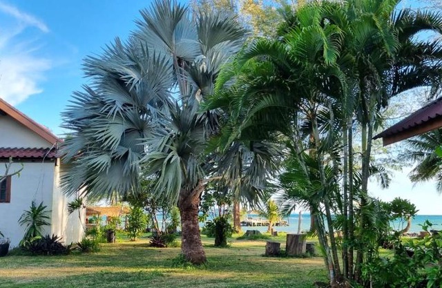 TK Beach Resort Koh Mak