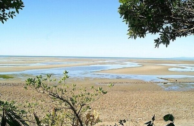 Tomatea Rua - Golden Bay Bach (Pakawau Beach)