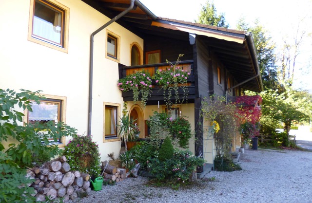 Tonis Apartments is the right place for you!