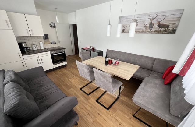 Top equipped apartments, with a perfect location. App. Dachstein (55 sqm).