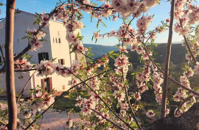 Torre Bruno