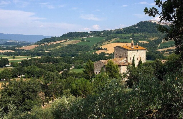 Torre del 15° secolo con piscina e lussureggiante giardino, panorama su Todi