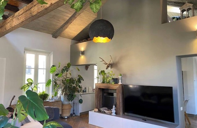 TourinTurin charming apartment in the heart of the historic center