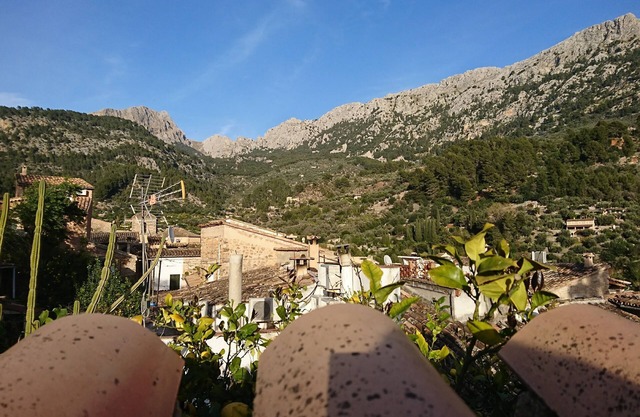 Townhouse with Roof Terrace and wifi in the centre of Fornalutx.