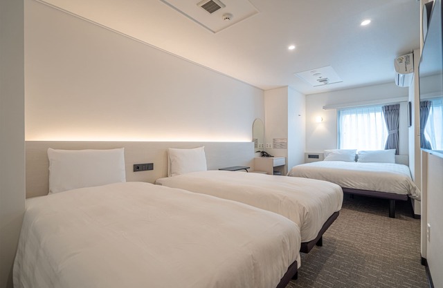 Toyoko Inn Seoul Dongdaemun 1