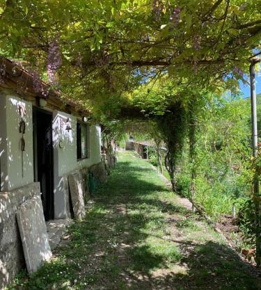 Tra Fiori e Antichità