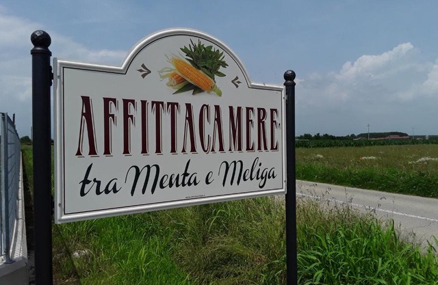 Tra MENTA e MELIGA