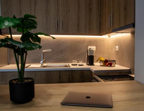 Tracy's Luxury Apartment.