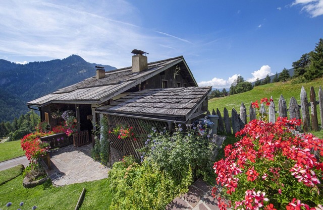 Traditional apartments Trebe 160A